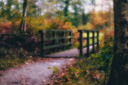 Autumnmood | Hof Espelo (5)