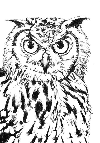 Owl pen drawing by Janneke Wiersma