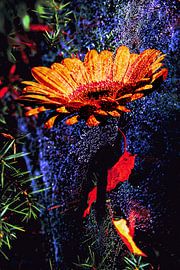 Pearl Parure Gerbera van Helga Blanke