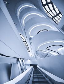 Respirez  sur Een Wasbeer