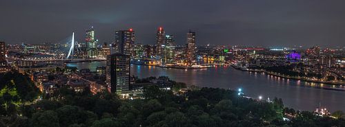 Skyline of Rotterdam 