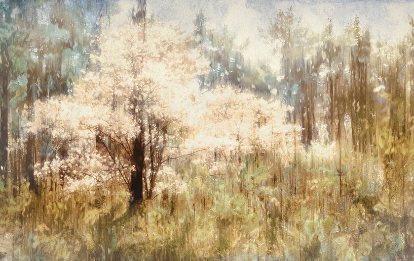 Strahlende Blüten des Johannisbeerbaums von Studio Mirabelle