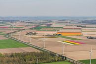 Luftaufnahme von Windkraftanlagen und Tulpenfeldern in Flevoland von Sjoerd van der Wal Fotografie Miniaturansicht