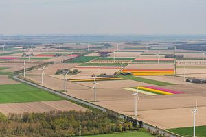 Luchtfoto van windturbines en tulpenvelden in Flevoland van Sjoerd van der Wal Fotografie