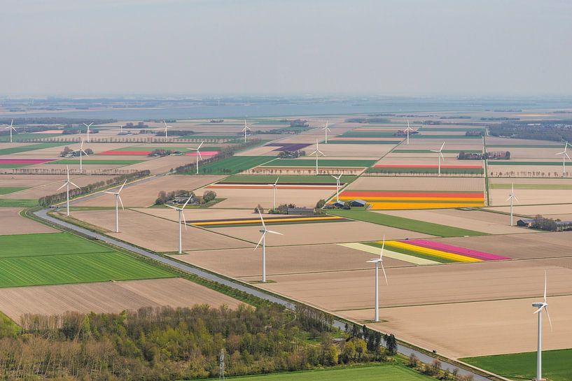 Luftaufnahme von Windkraftanlagen und Tulpenfeldern in Flevoland von Sjoerd van der Wal Fotografie