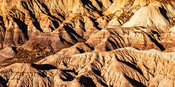 Panoramaheuvels in de kleurrijk beschilderde woestijn Versteend woud nationaal park in Arizona USA van Dieter Walther