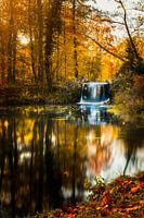 Herfst in Sonsbeek