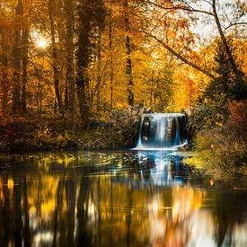 Herfst in Sonsbeek van Jeroen Diks