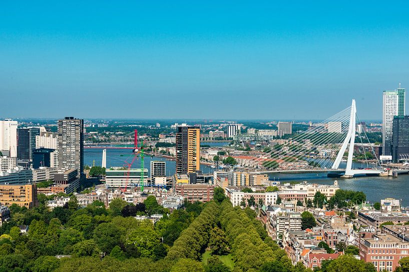 Erasmus bridge Rotterdam from the Euromast. by Brian Morgan