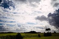 Ameland landschap van Nico van der Vorm thumbnail