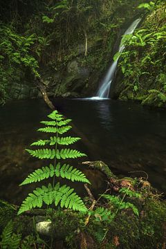 Asturias Waterval Cascada Gorgollon van Jean Claude Castor