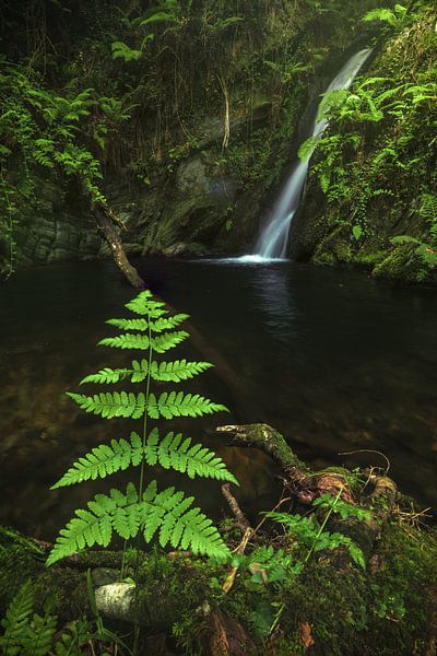 Asturien Wasserfall Cascada Gorgollon von Jean Claude Castor