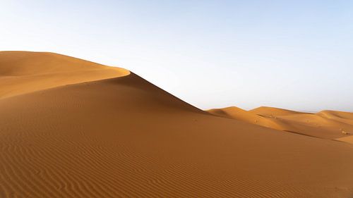 Sahara °9 sur mirrorlessphotographer