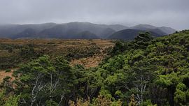 New Zealand - Heaphy Track