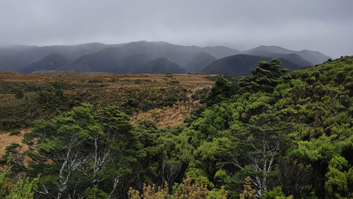 Nieuw Zeeland - Heaphy Track