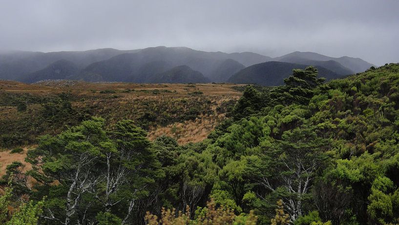 Nieuw Zeeland - Heaphy Track van Maurice Weststrate