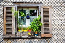 A charming Swiss Alpine home with a vibrant window display by Patrick Kilb