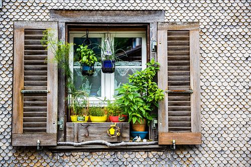 Une charmante maison dans les Alpes suisses avec une vitrine colorée