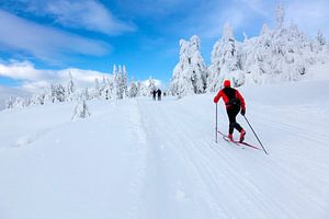 Langlaufen in Noorwegen sur Rob Kints