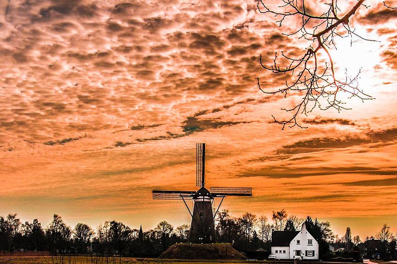 Neunen North Brabant by Brian Morgan