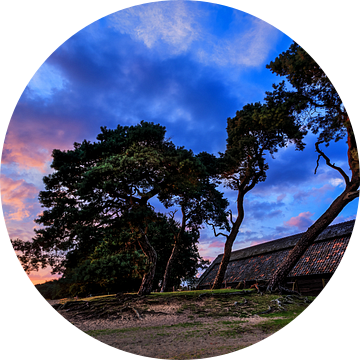 Ginkelse Heide Zonsondergang 3 van Joram Janssen