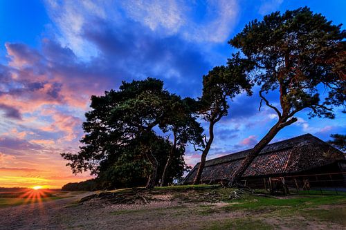 Ginkelse Heide Zonsondergang 3
