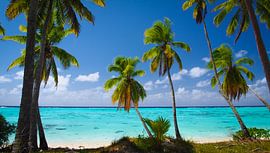 Amuri, Aitutaki - Cook Islands von Van Oostrum Photography