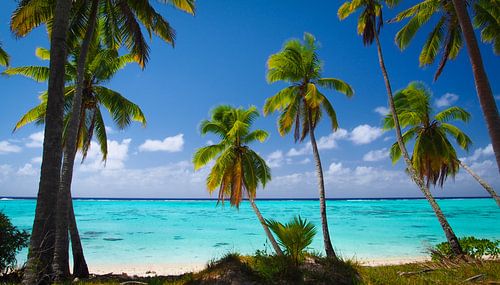 Amuri, Aitutaki - Cook Islands