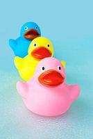 Three coloured ducks