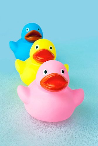 Three coloured ducks