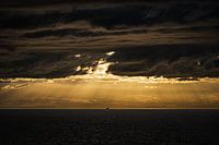 Golden Sky