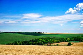 Colourful summer landscape in the countryside by Mad Dog Art