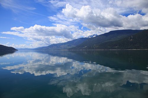 Waterline - Reflection in Motion