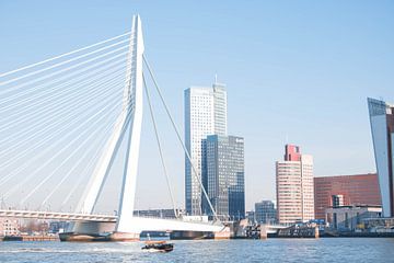 Erasmus brug in Rotterdam