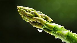 Gedetailleerde close-up van een verse asperge