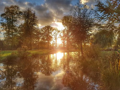 Zonsondergang in het park