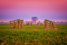 Der niederländische Polder an der Mauer von Leon Okkenburg