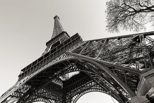 Paris Eiffel Tower in Perspective