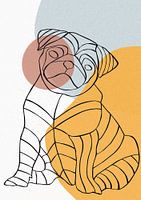 Mops