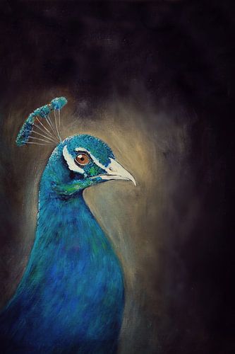 de kroon van de pauw..