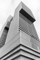 D Rotterdam