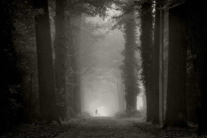Promenade matinale brumeuse par Martin Podt