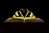 Boek van de liefde