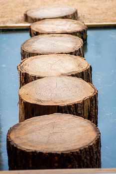 Teichweg auf der Floriade