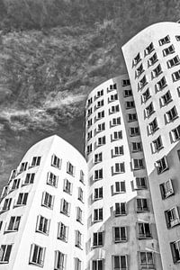 Gehry-Bauten im Medienhafen Neuer Zollhof in Düsseldorf in schwarz-weiss