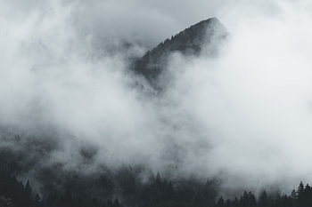 Hidden in the mist