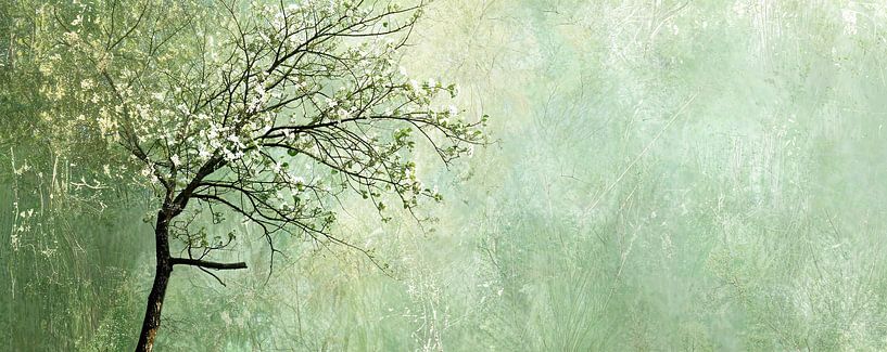 Blüte von Wunderbare Kunst