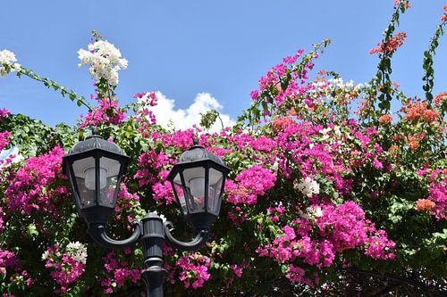Een straatlantaarn in de stad