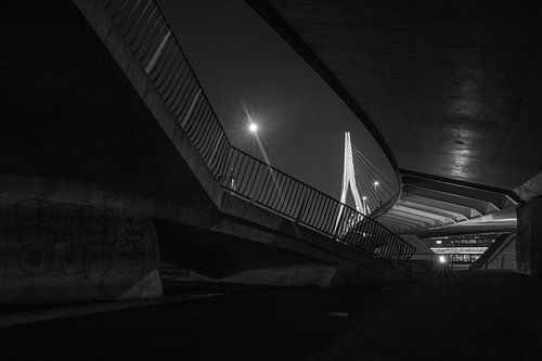 De Erasmusbrug in Rotterdam