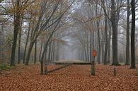 Foggy Forest van Wiljo van Essen thumbnail